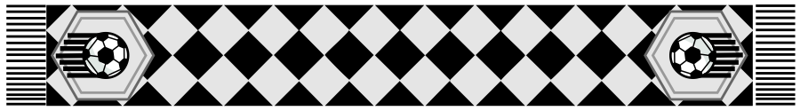 Szalik – wzór R6W